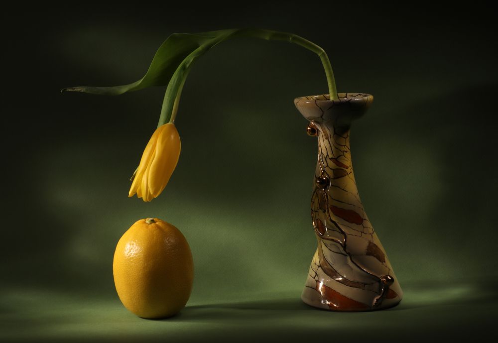 Photograph by Roza Kenarova