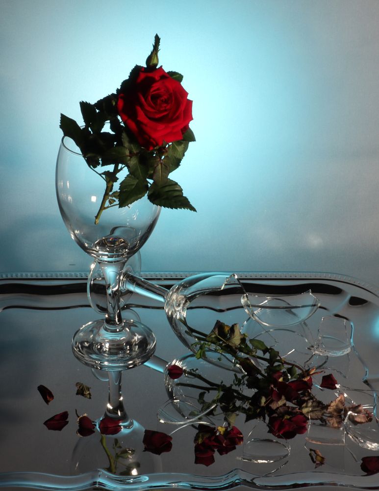 Photograph by Roza Kenarova