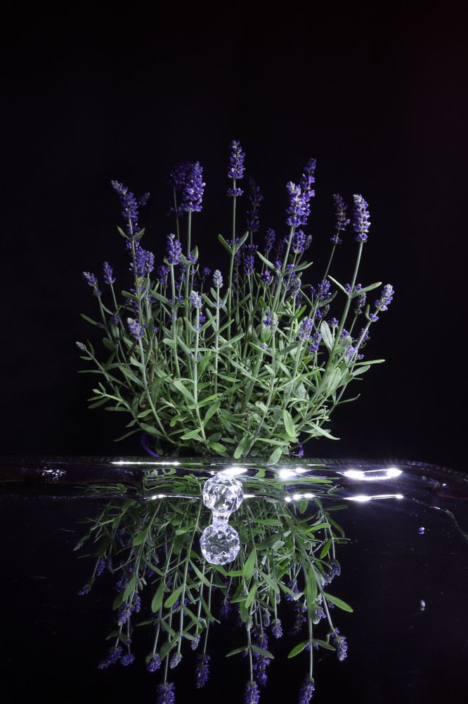 Photograph by Roza Kenarova