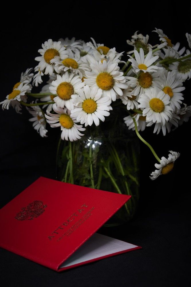 Photograph by Ирина Фатеева