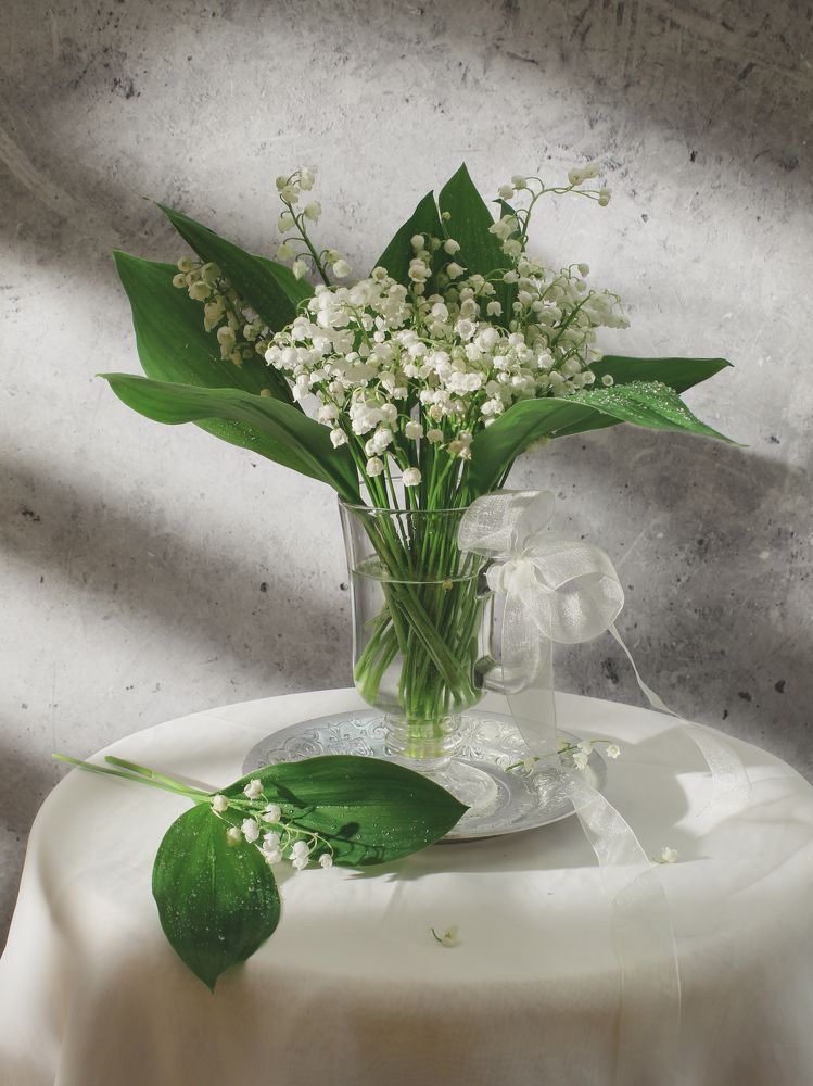 Photograph by Ольга Репина