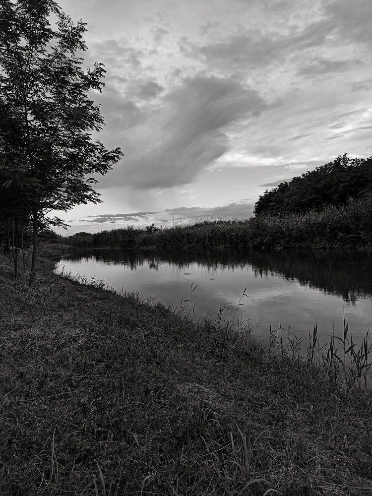 Фотография автора Таня Долгушева