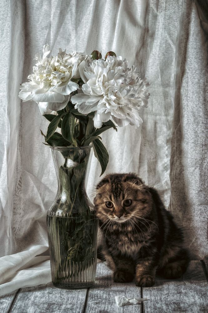 Photograph by Богдан Тарасов