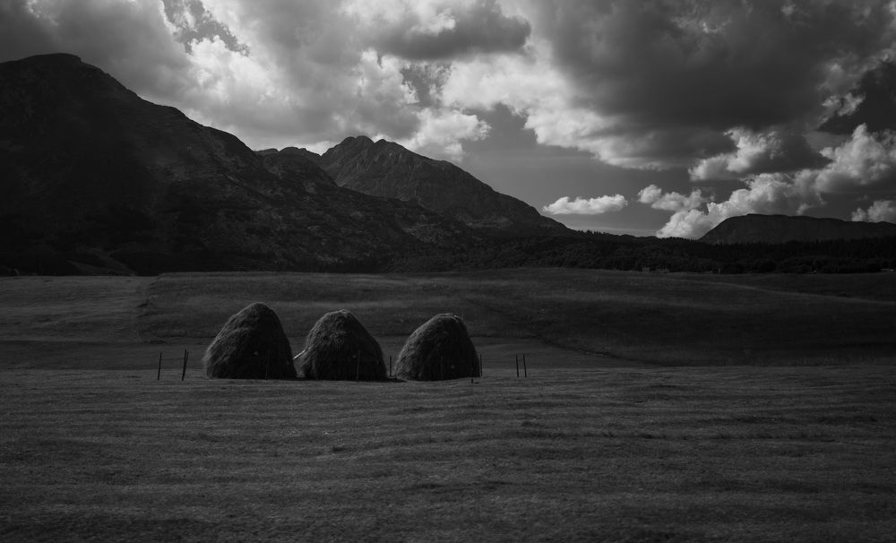 Photograph by Aleksander Goldshtein