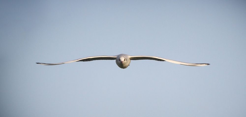 Photograph by Abdullah E Hamdi