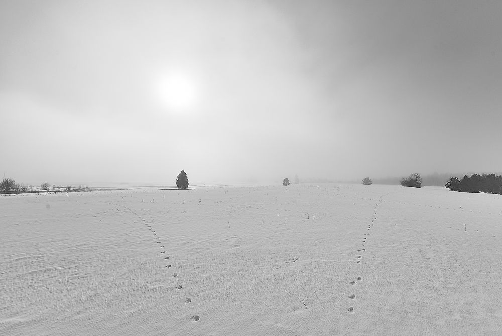 Photograph by Mati Puum