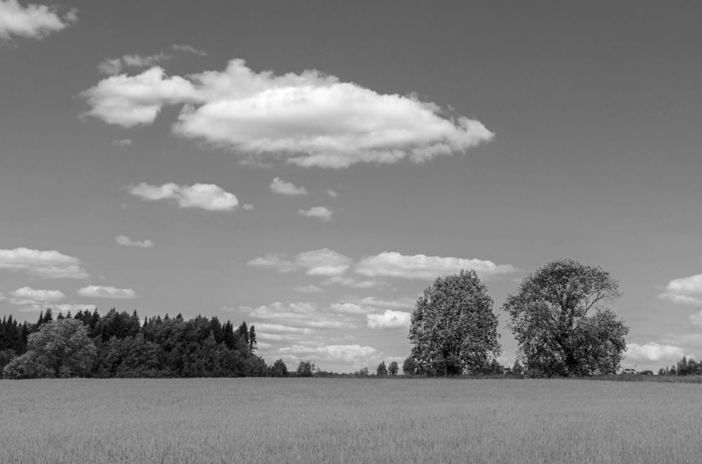 Photograph by Денис Кичев