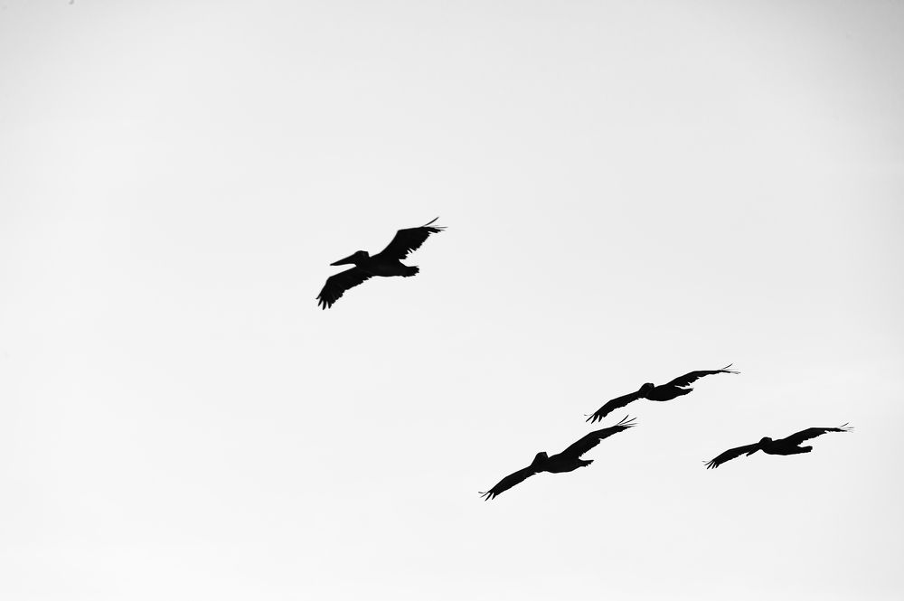 Photograph by Armando Lopez-Guerrero