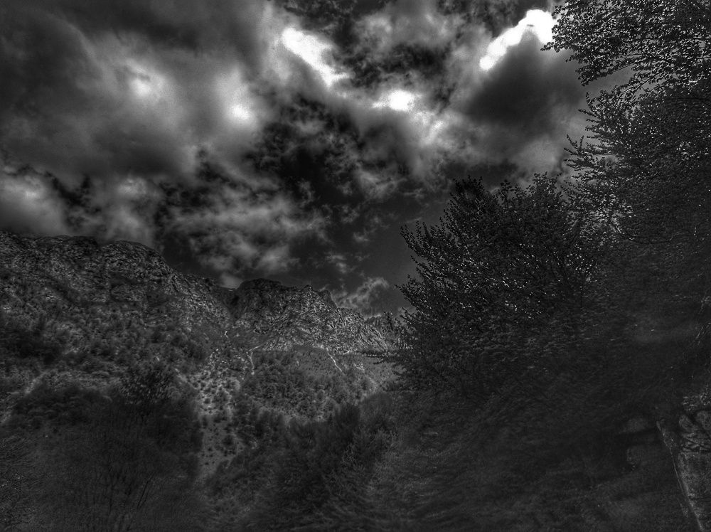 Photograph by Ajdina Dogan