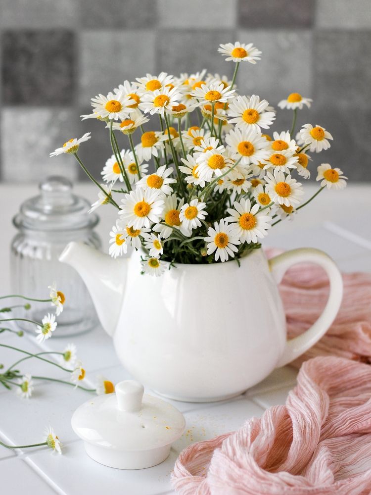 Photograph by Оксана Бурцева