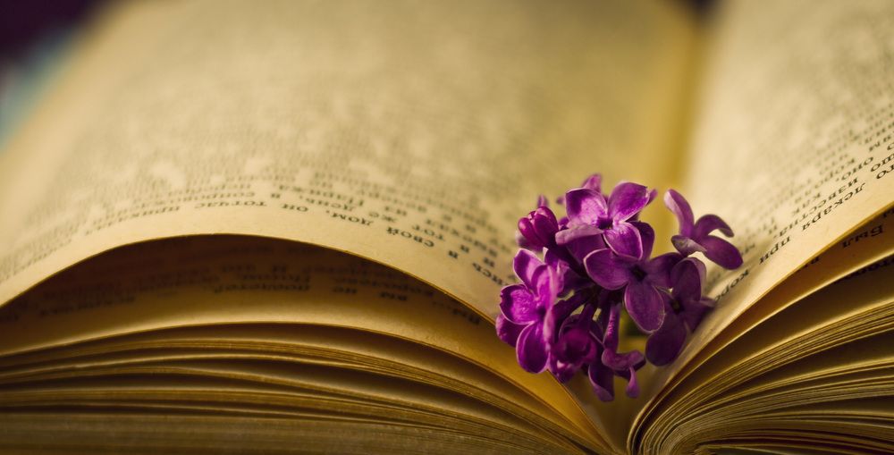 Photograph by Елена Зоря