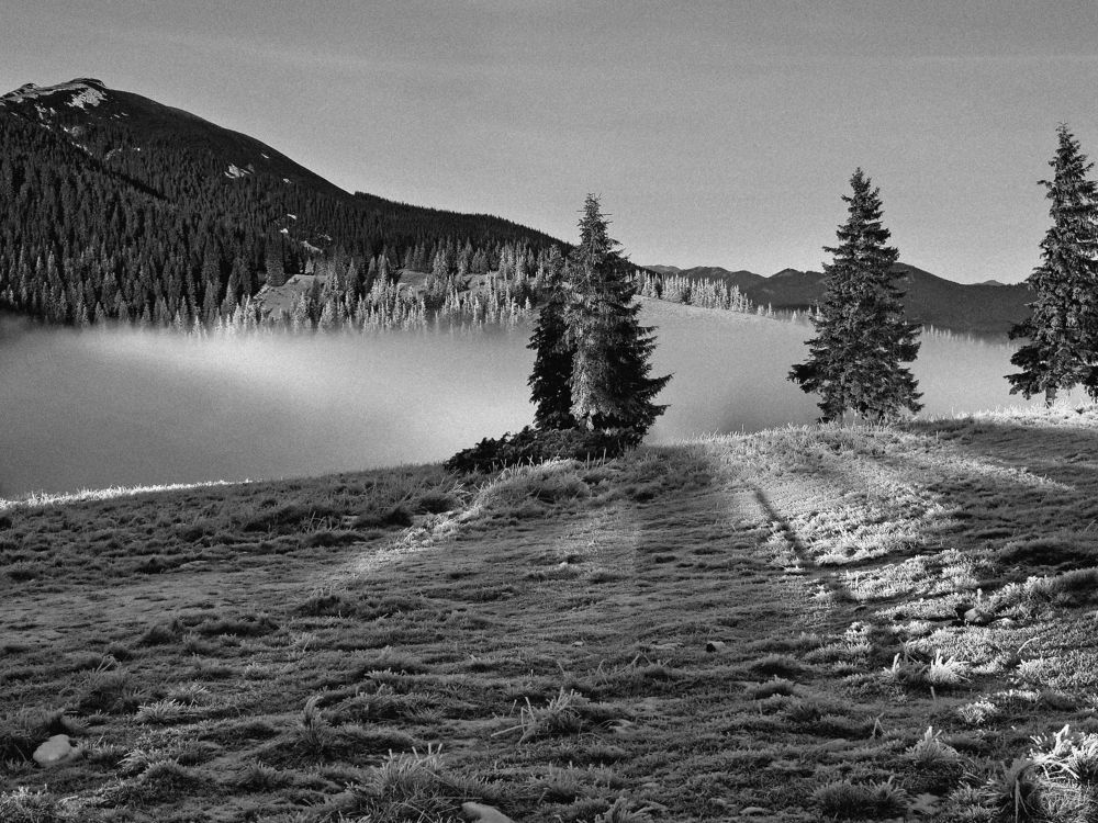 Восточные Карпаты