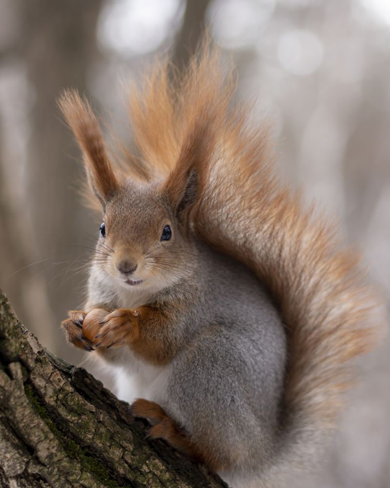 Фотография автора Сергей Затямин