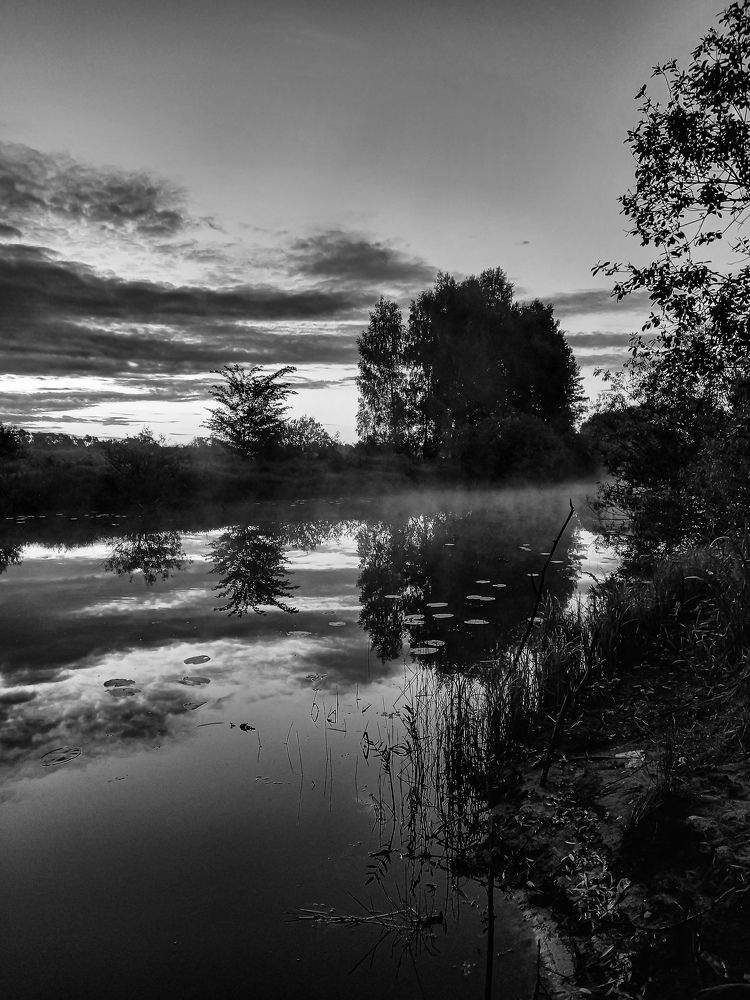 Photograph by Svetlana Yurasova