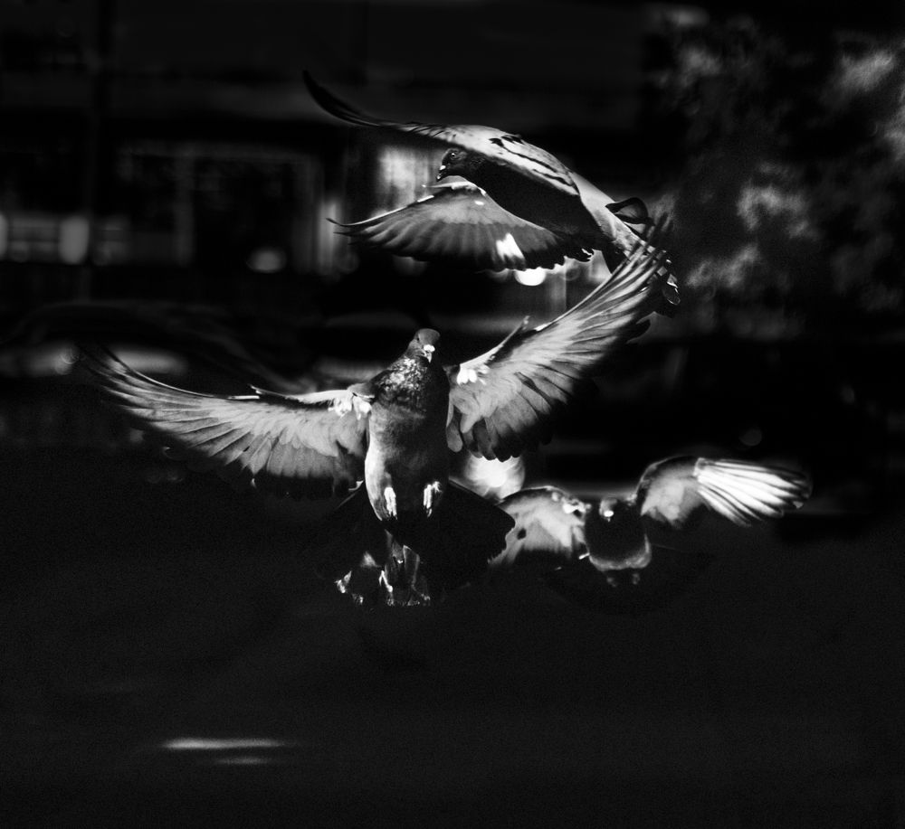 Photograph by Дмитрий