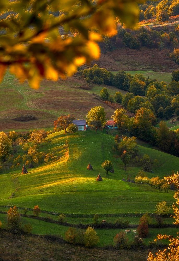 Photograph by Ioana Crisan