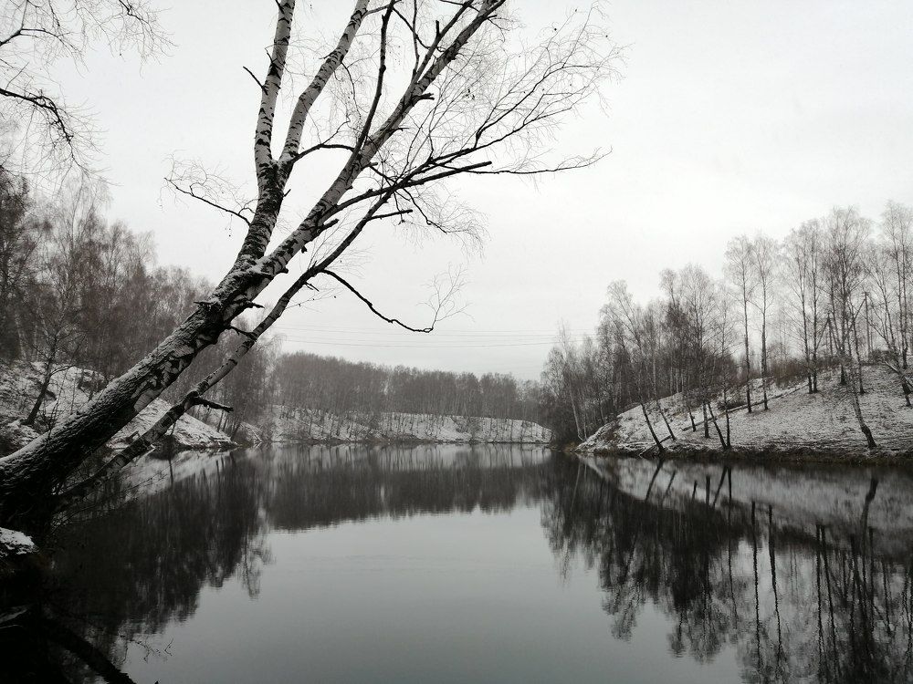 Photograph by Татьяна Ненюхина