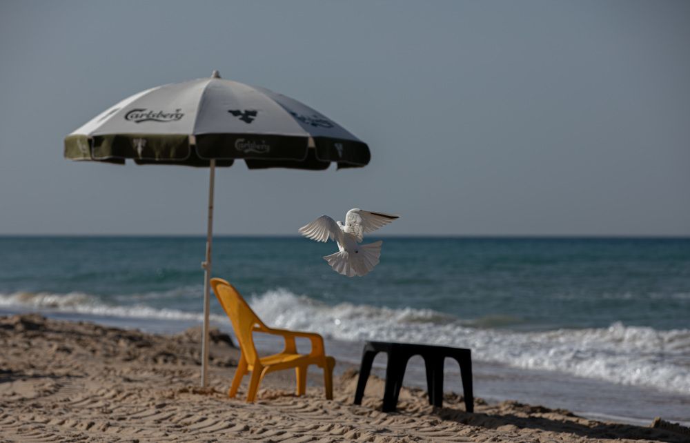 Photograph by Aleksander Goldshtein