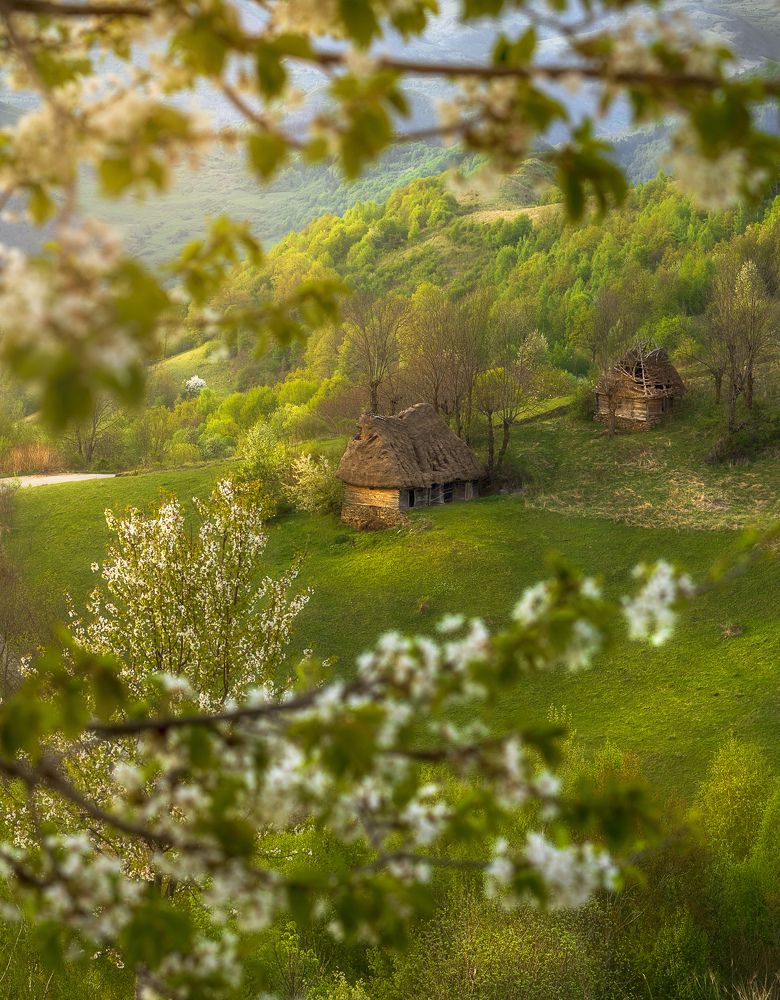 Фотография автора Ioana Crisan