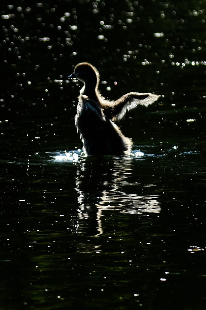 Photograph by Екатерина Якель