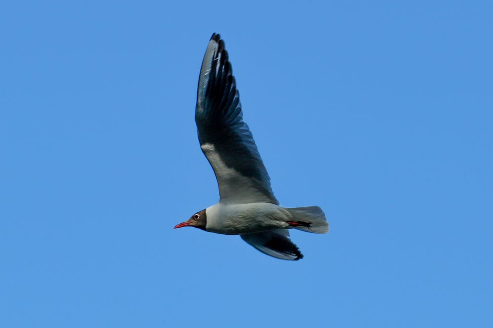 Photograph by Екатерина Якель