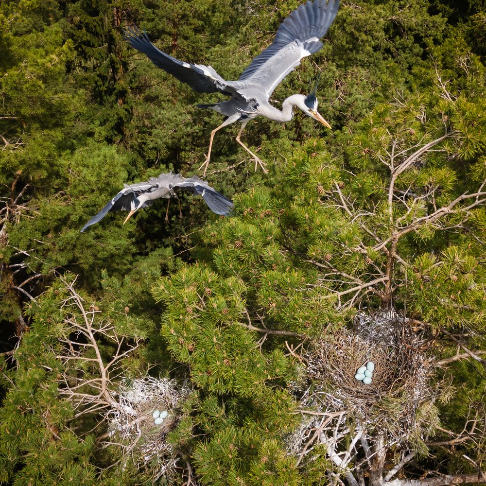 Photograph by Сергей Чирков