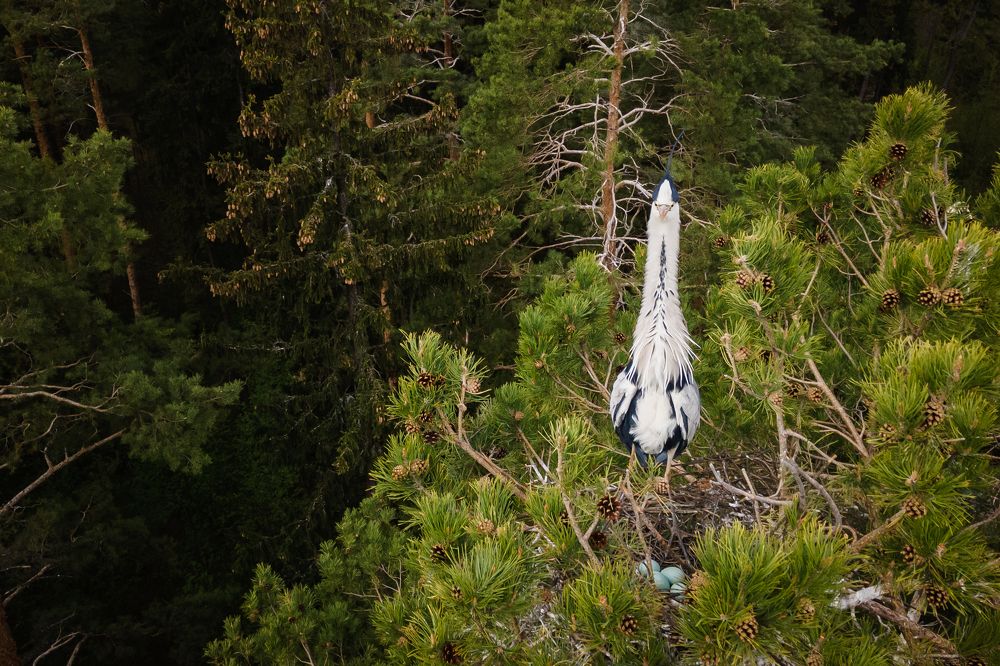 Photograph by Сергей Чирков