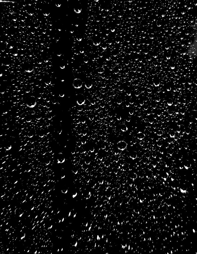 Photograph by Ольга