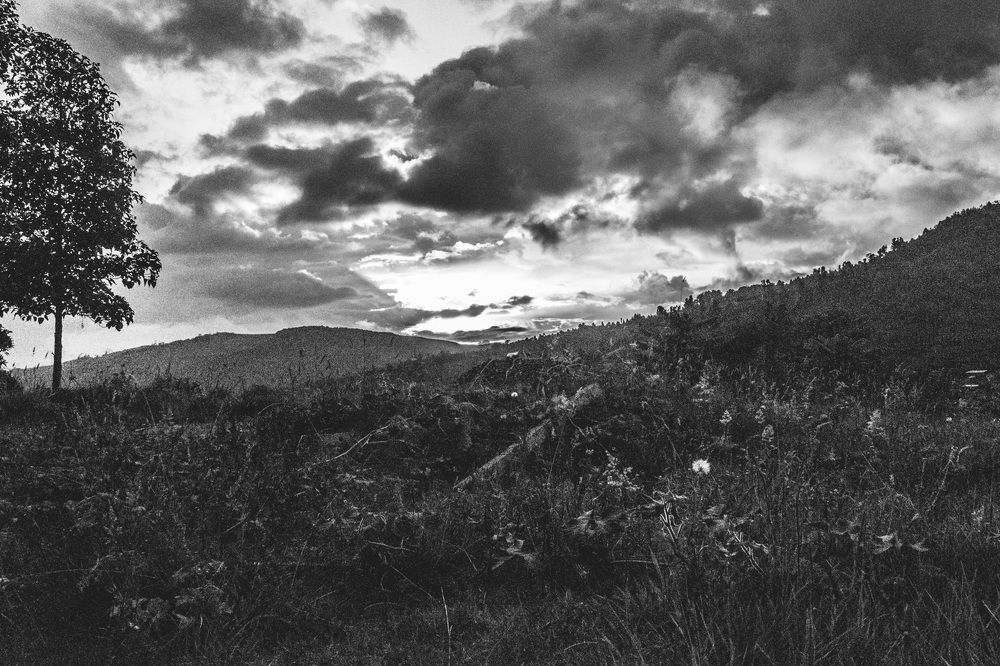 Photograph by Silvino González Morales