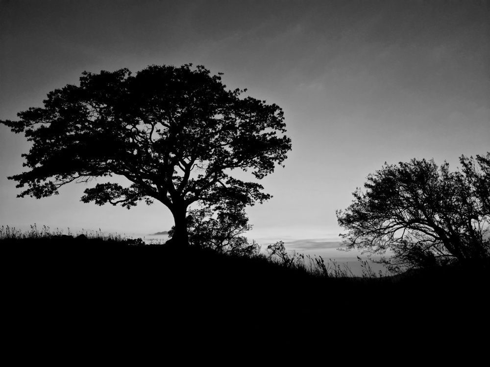 Photograph by Mauricio Mora Flores