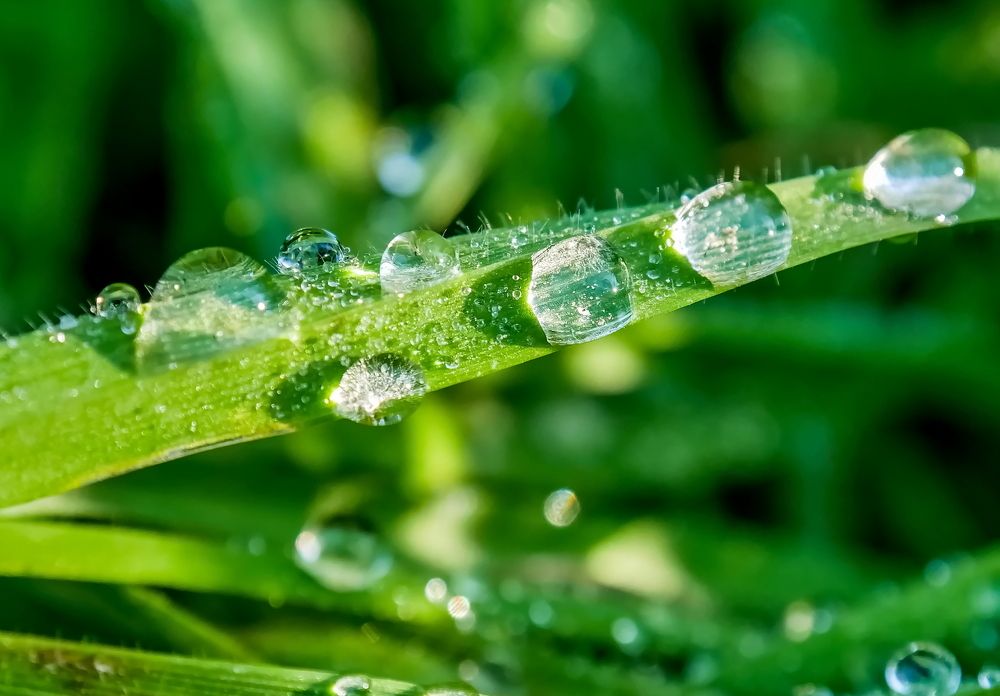 Photograph by Octavian Timosco