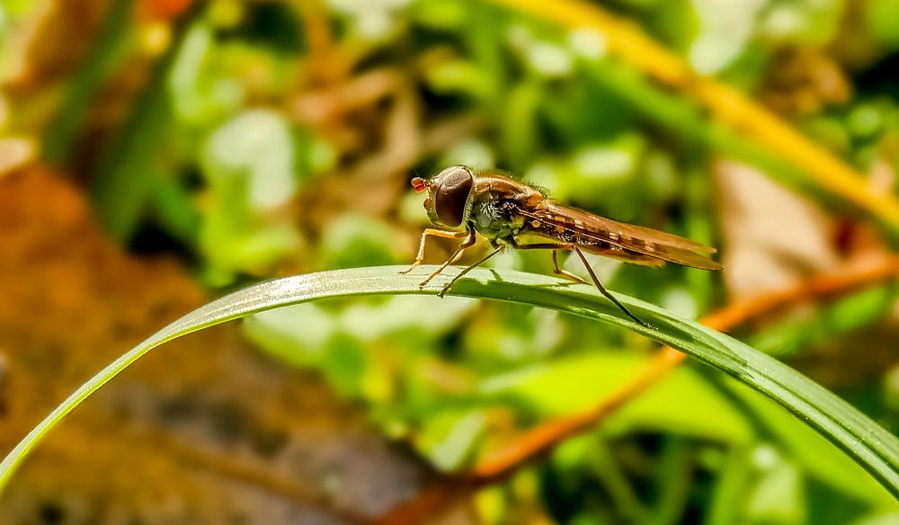 Photograph by Octavian Timosco