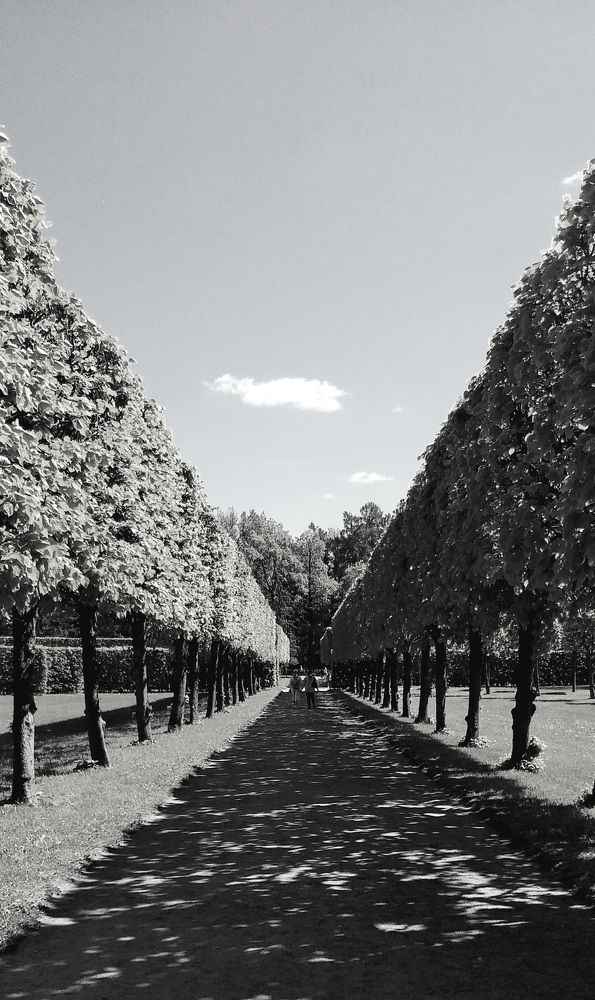 Photograph by Лейсан