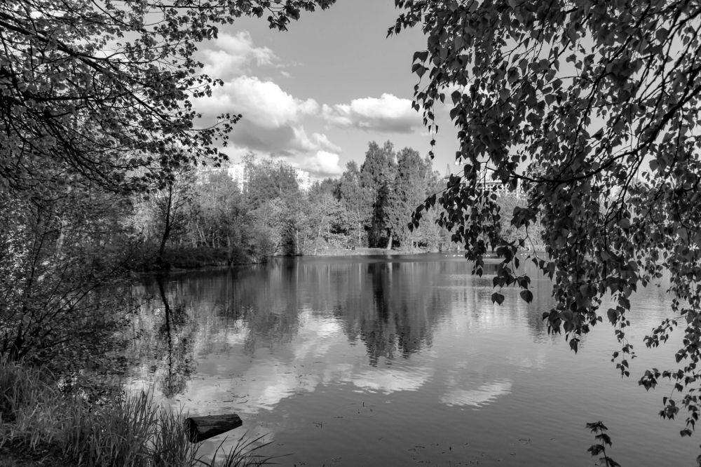 Photograph by Наталья Вялых