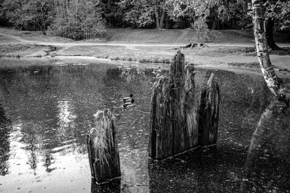 Photograph by Наталья Вялых