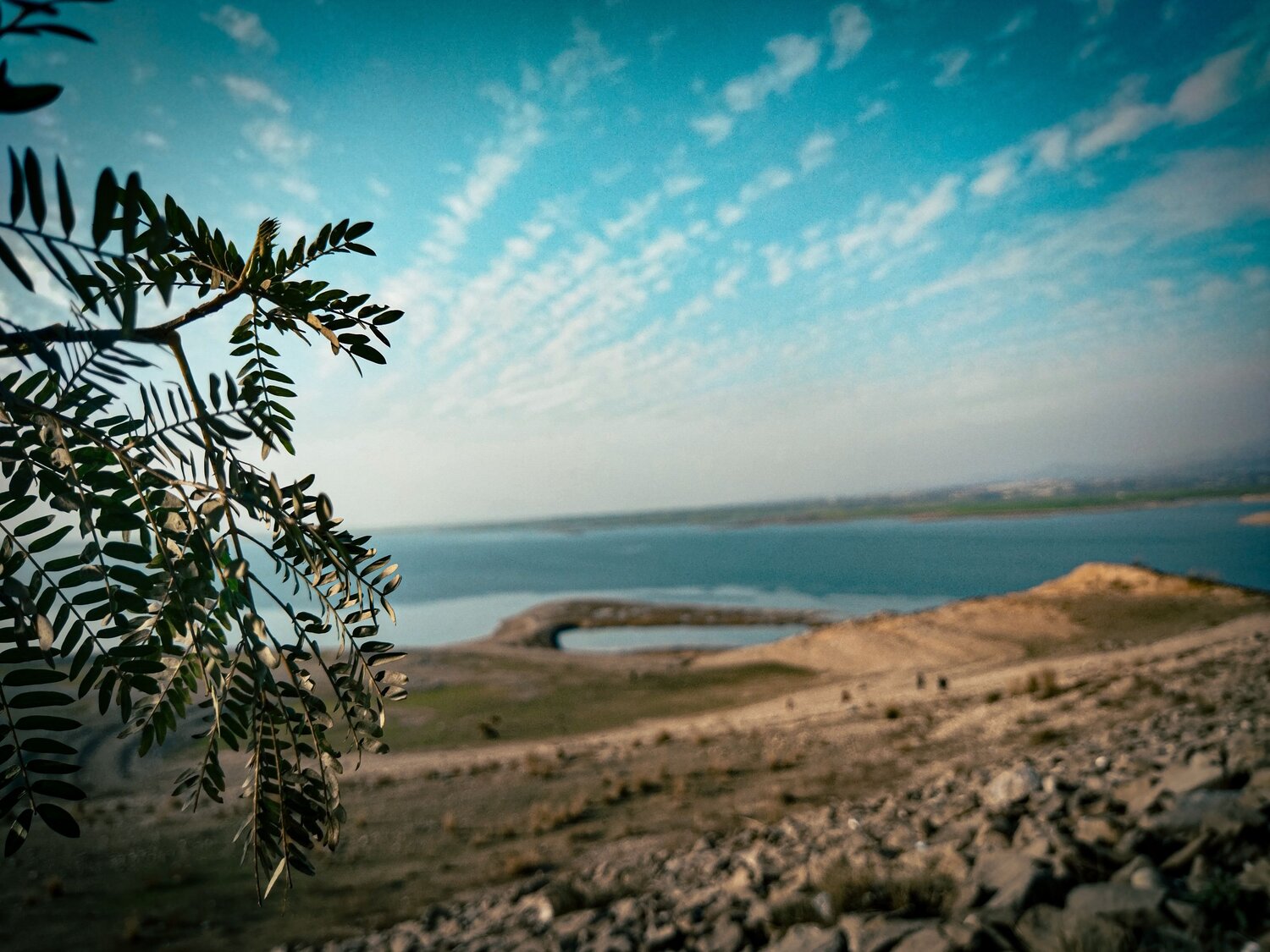 Photo #7730277