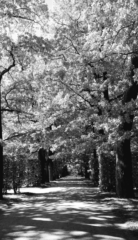 Photograph by Лейсан