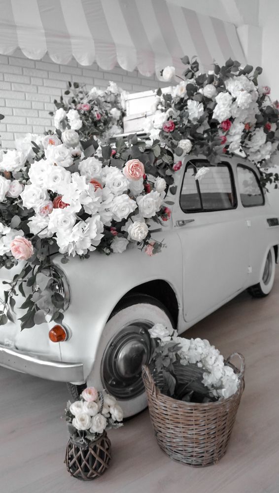 Photograph by Елена Пасажицкая