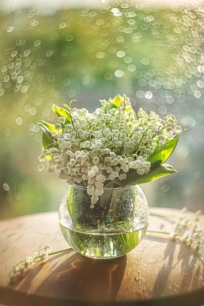 Photograph by Иванна Войт