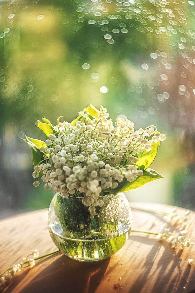 Photograph by Иванна Войт