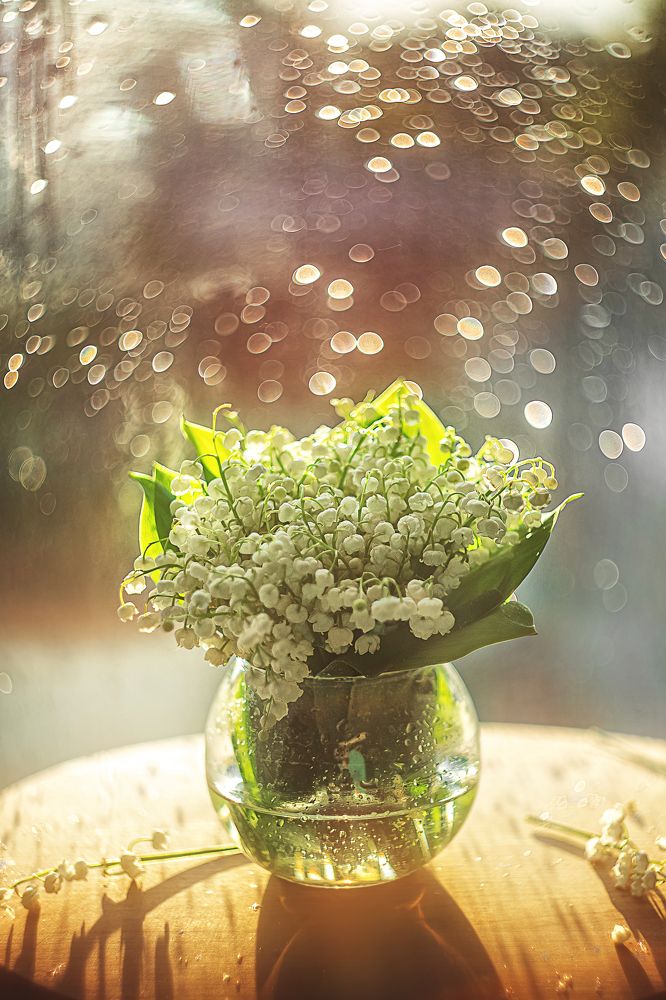 Photograph by Иванна Войт