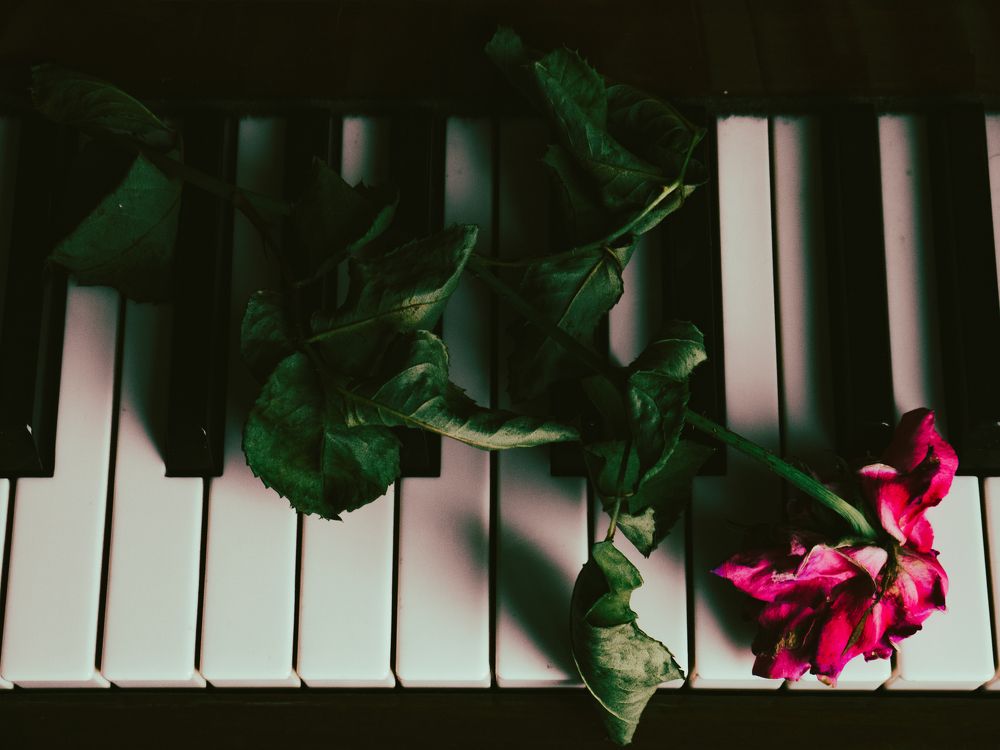 Photograph by Victor