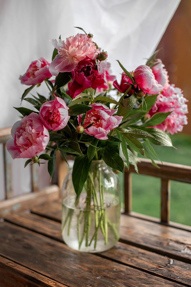 Photograph by Татьяна Белевцова