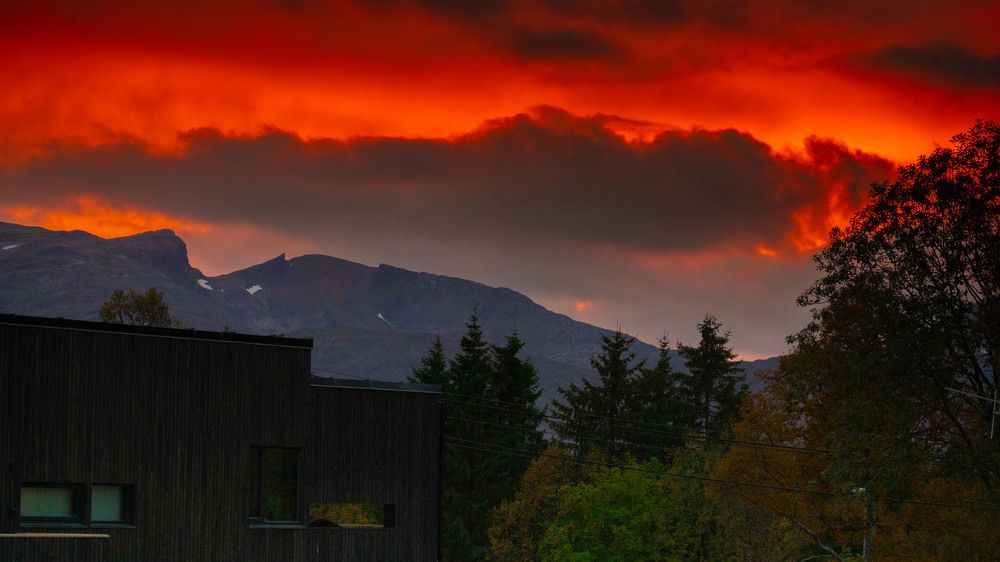 Photograph by Mahmud Tareq Khan