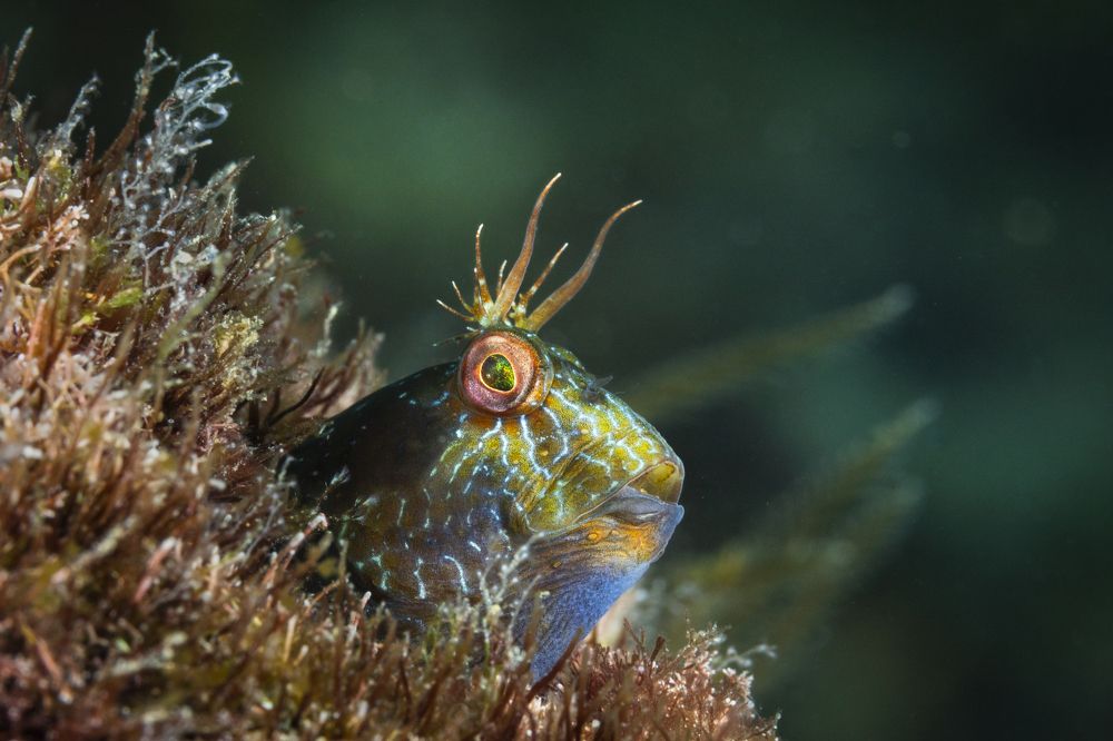 Фотография автора Jorge Luis Gil Rodríguez