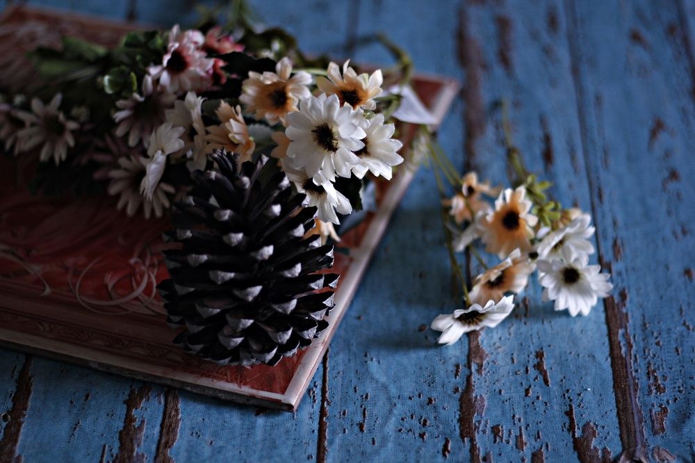 Photograph by Régis Santos