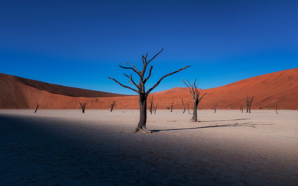 Photograph by XIAOLIANG JI