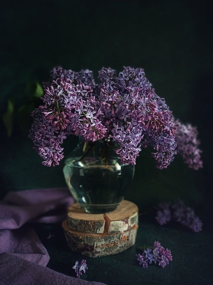 Photograph by Дина Полухина