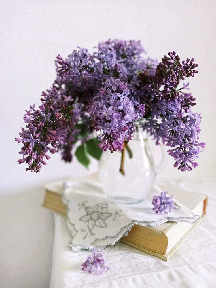 Photograph by Дина Полухина