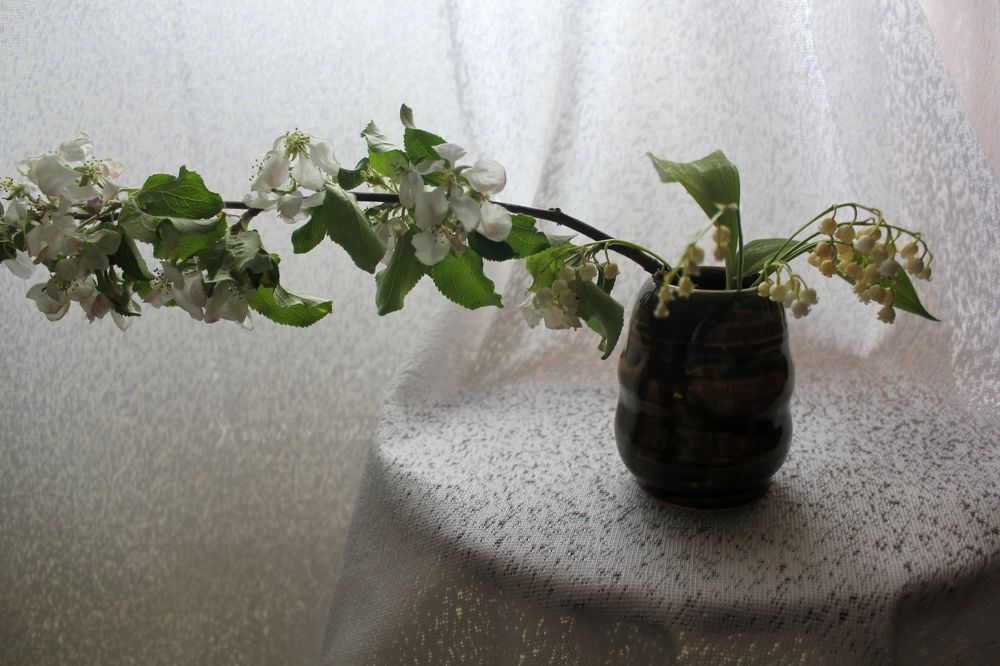 Photograph by Olga Bagaeva